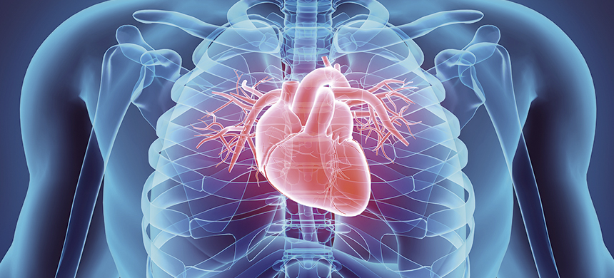 Cardiomegalia: cuando el corazón crece más de lo normal