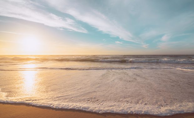 Tú decides su destino