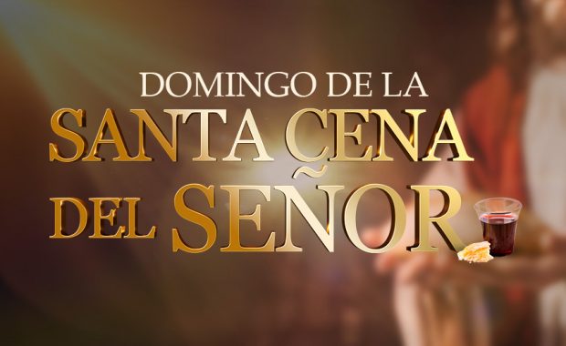 Domingo 9 de noviembre: